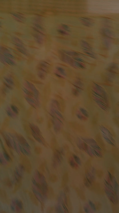 Fendy Chiffon Peal Lace Saree